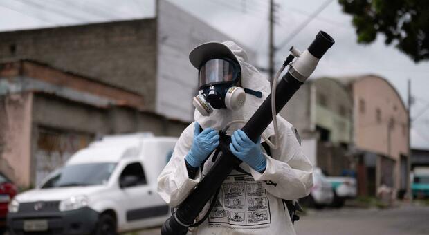 Dengue, epidemia travolge Rio de Janeiro: boom di contagi, ospedali nel caos