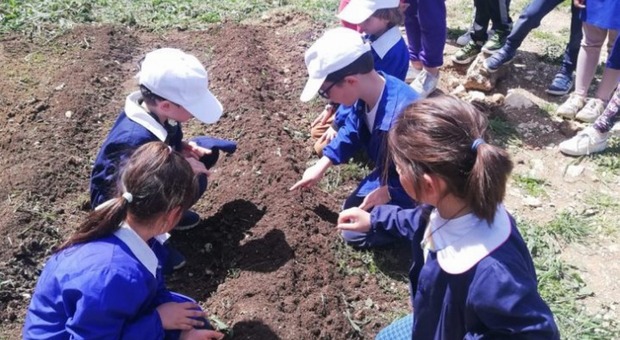 Terni, alla elementare Matteotti si coltivano orto e giardino