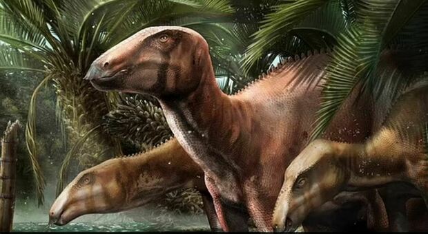 Jurassic Park a Trieste, scoperto "branco" di 11 dinosauri di 80 milioni di anni fa