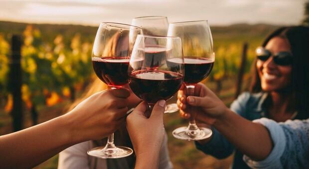 Truffa online a Montebelluna. Giovane compra tre casse di vino pregiato sui social, paga 4mila euro al venditore ma non riceve nulla