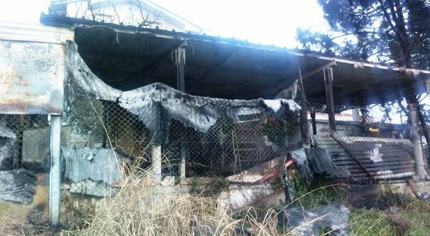 Porto Sant'Elpidio, strage di galline nel capannone distrutto dalle fiamme