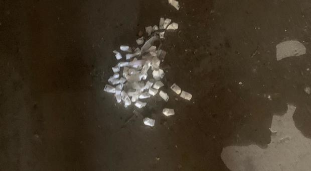 immagine Roma, Tor Bella Monaca: pusher si barricano in casa: avevano 500 dosi di cocaina