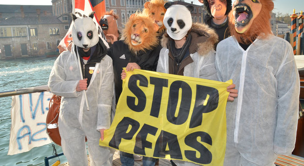 Padova, Vicenza e Verona: stato di emergenza per l'inquinamento da Pfas