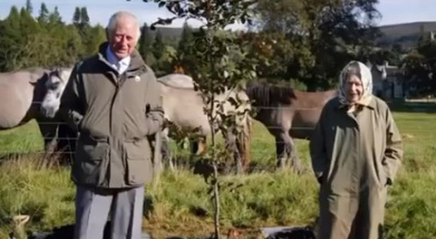 La Regina Elisabetta torna in pubblico e pianta un albero con Carlo: il "Queen's Green Canopy" in vista del Giubileo di Platino