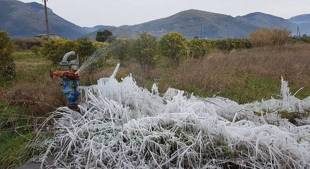 Latina, coltivazioni distrutte dal gelo: danni per decine di milioni, Coldiretti chiede alla Regione Lazio lo stato di calamità naturale