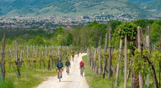 Ciclismo, già in 800 per la Nova Eroica Prosecco Hills Conegliano Valdobbiadene sulle Colline Unesco