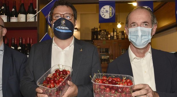 Salvini mangia ciliegie mentre Zaia parla di bambini morti, bufera social. Matteo: «Surreale»