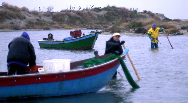 Pescatori impegnati nella raccolta delle vongole