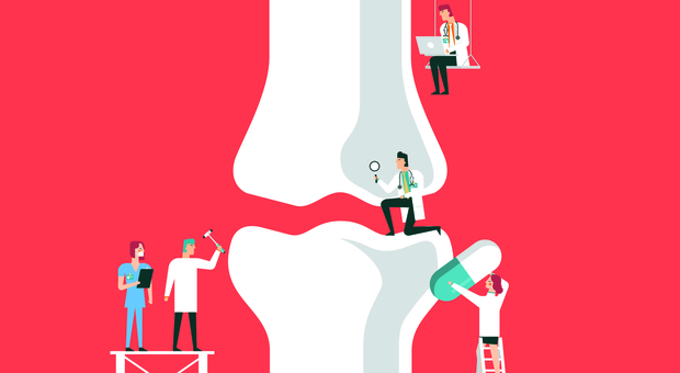 Plasma, piastrine e staminali: ora l'artrosi si combatte con l'ortobiologia