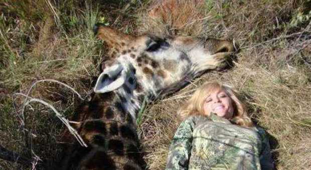 La cacciatrice sorride vicino alla giraffa uccisa: il web si infuria e la minaccia di morte