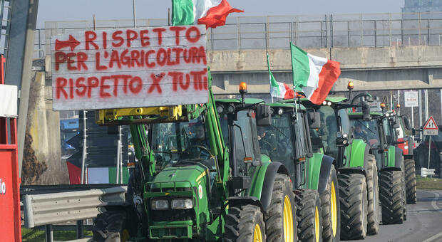 Gli agricoltori marchigiani alla canna del gas: «Tra clima impazzito e regole di Bruxelles non ce la facciamo più»