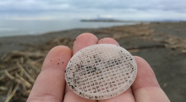 Centinaia di dischetti di plastica trovati sulla spiaggia della costa viterbese