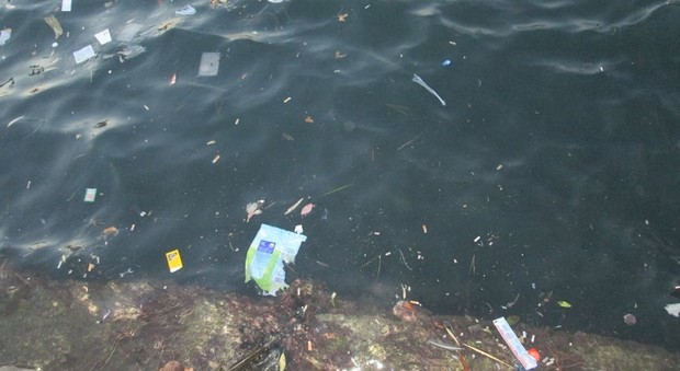 Porto di Ischia, la plastica