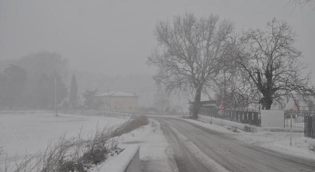 Gelo e neve, gli agricoltori: «Stato di calamità»