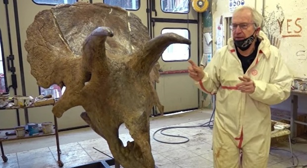 Lo scheletro del Triceratopo più grande del mondo esposto in piazza Unità d'Italia a Trieste