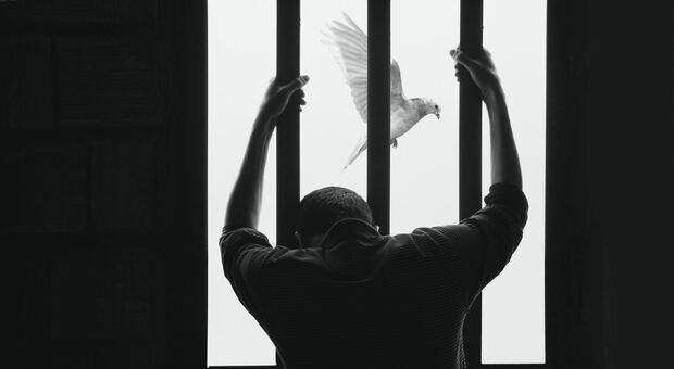 Si impicca nella sua cella nel carcere di Santa Bona, muore dopo quattro giorni in ospedale (foto unsplash Hasan Almasi)