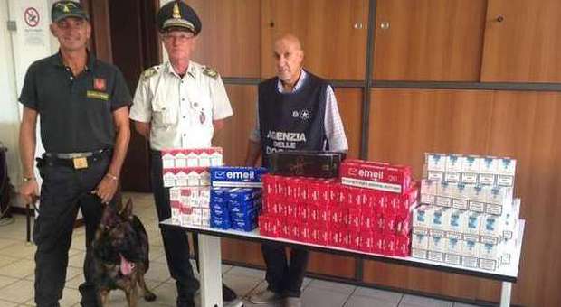 Ancona: sequestrati 16 kg di sigarette grazie a Gaby, il finanziere a 4 zampe