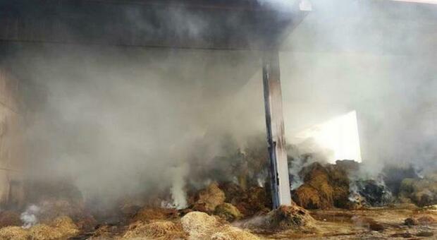 Incendio a Presenzano nella notte: distrutto capannone azienda agricola