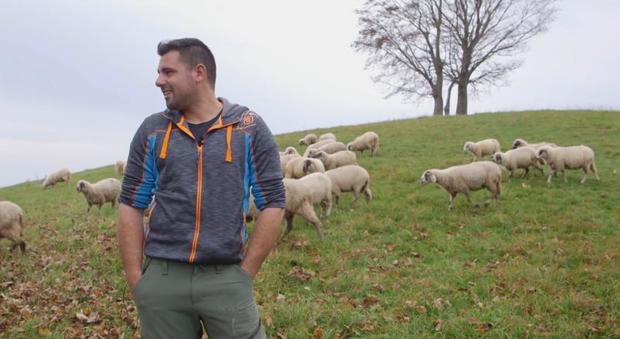 Sebastiano Fullin l'allevatore alpagoto che si è ritrovato le pecore sbranate dal lupo
