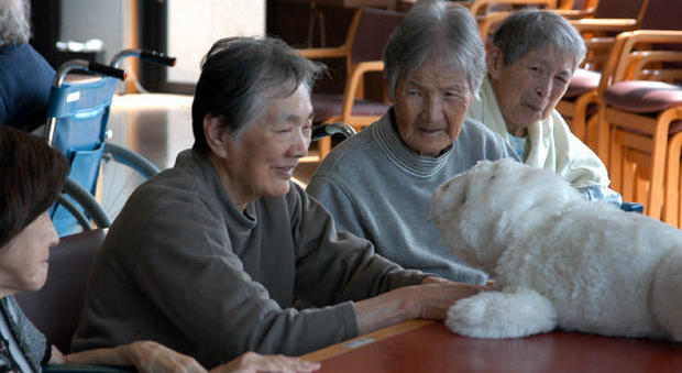 Giappone, i furti anti-solitudine degli anziani giapponesi: «In carcere è meno dura»