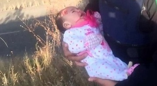 Neonata trovata in uno scatolone sul ciglio della strada: il pianto attira l'attenzione