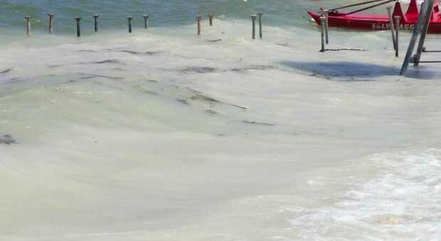 Mare torbido e detriti sulle spiagge, l'effetto alluvione sulla costa dorica