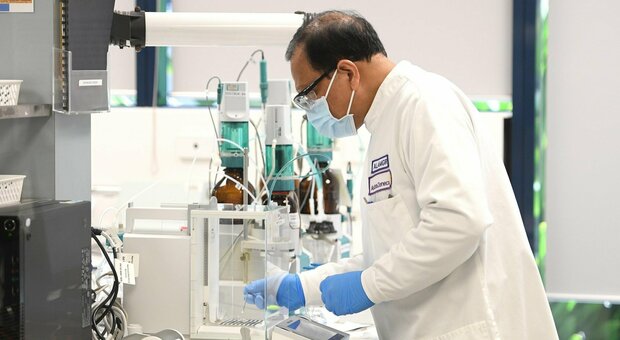 Nei laboratori della Pfizer si lavora al vaccino contro il Covid