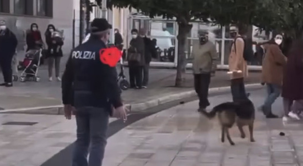 Il cane "mascotte" di Taranto preso a calci da un poliziotto. Rabbia sul web: «Vergogna» IL VIDEO