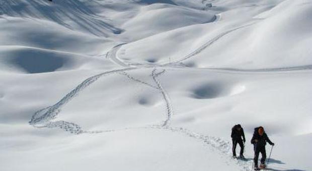 Dolina di Campoluzzo coperta dalla neve, dal sito di Arpav