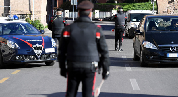 Uliveto invaso da 25 persone per colpa di una rumena 40enne: arrestata