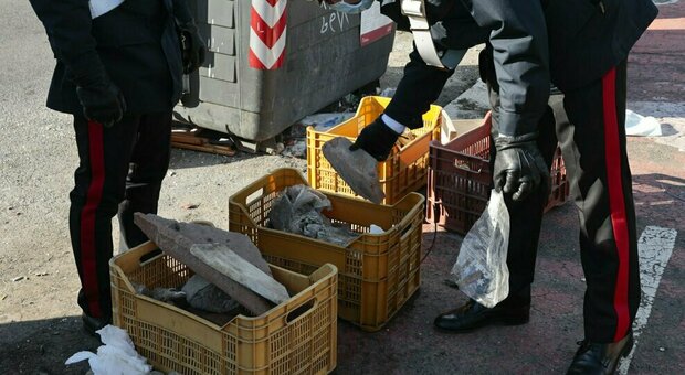 Carabinieri scoprono cassette piene di reperti in via Arnaldo Canepa