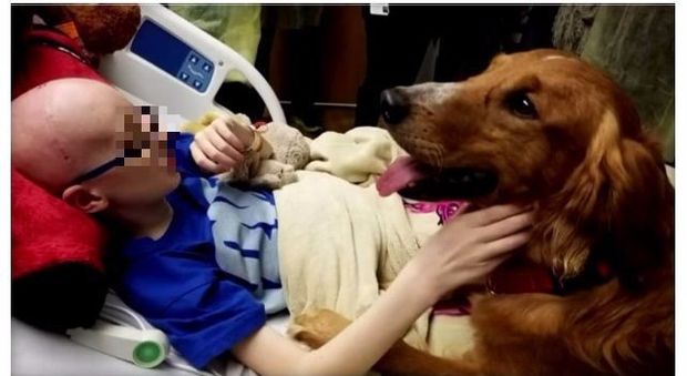 Malata di cancro, la bimba realizza il sogno di incontrare il cane star del suo film preferito