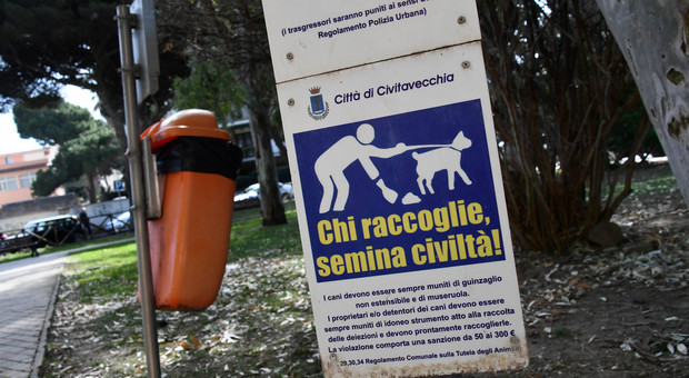 Un rimedio contro le deiezioni? «Chiudere le strade ai cani»