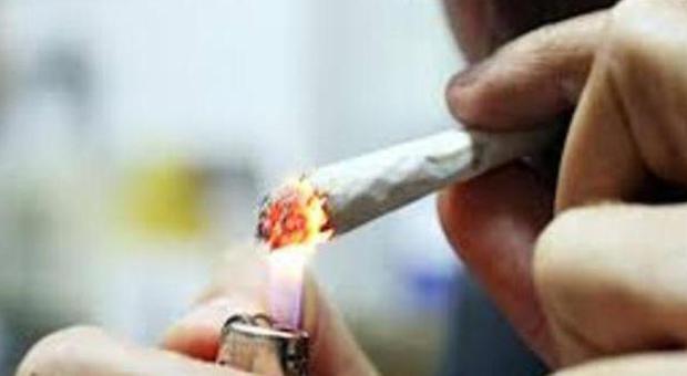 Droga, aumenta consumo cannabis tra gli adolescenti: fuma uno su 4 in calo la cocaina