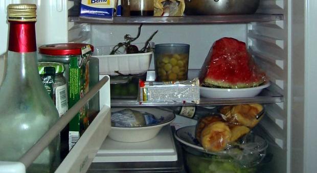 Vacanza senza sorprese: come pulire il frigorifero prima di partire in tre semplici mosse