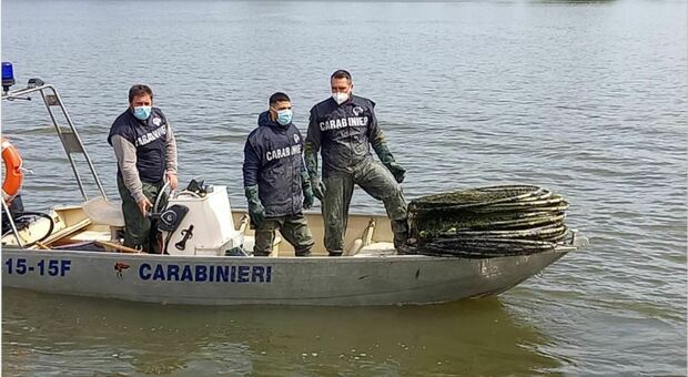 Controlli dei carabinieri forestali lungo il delta del Po