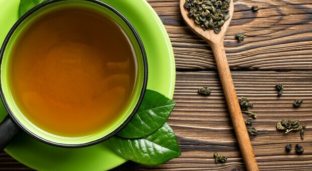 Alzheimer, il tè verde aiuta a prevenirlo: la scoperta di un team di scienziati cinesi
