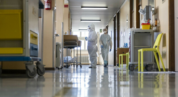 Lavoro, ricerca personale negli ospedali di Treviso: mancano 140 medici e 40 infermieri