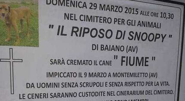 Manifesti funebri e una cerimonia per il cane impiccato in Campania