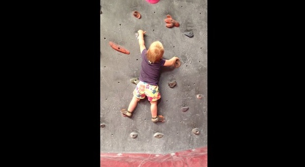 Ellis, la baby scalatrice di 1 anno e mezzo: ​si arrampica senza protezioni