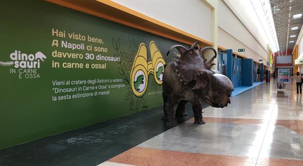 Centro Campania, un dinosauro accoglie i visitatori nell'area Space