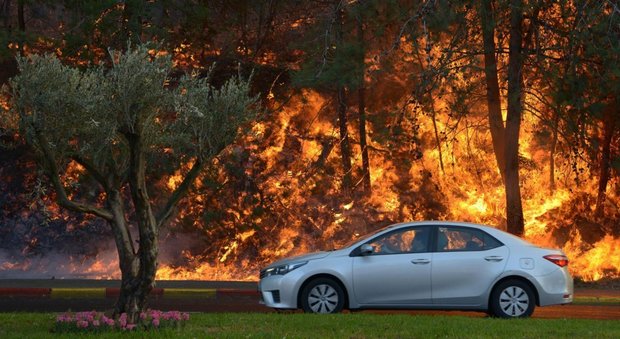 Israele devastata dagli incendi: 80 mila evacuati a Haifa