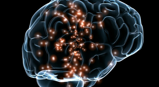 Cervello, individuata la molecola responsabile dell'invecchiamento. «Si può inibire e recuperare plasticità»