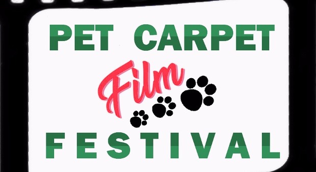 Pet Carpet Film Festival: la rassegna di cortometraggi dedicati agli animali alla Casa del Cinema