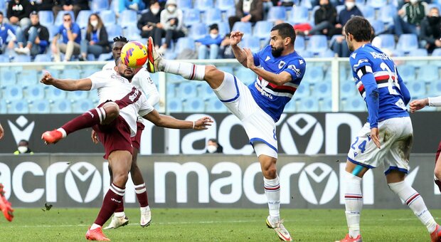 Sampdoria-Torino 1-2 I granata vincono in rimonta