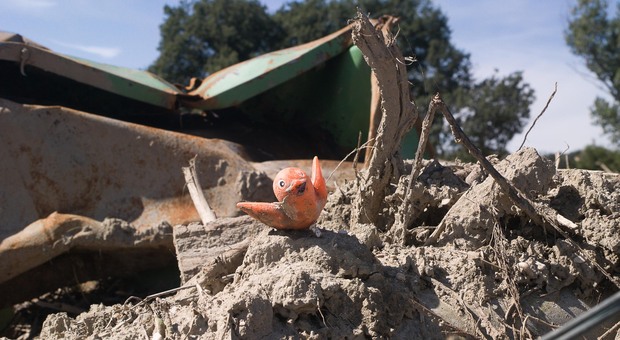 Alluvione, un anno dopo: le foto inedite della tragedia marchigiana