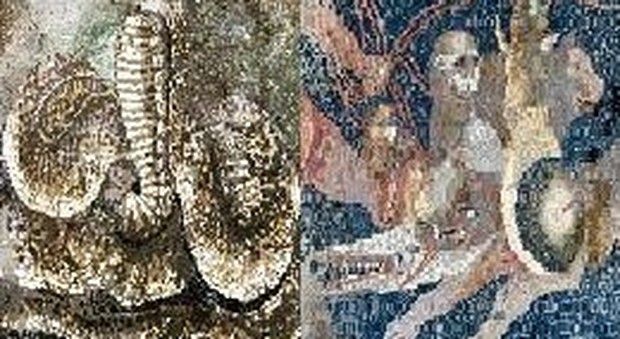Pompei, scoperte in diretta social: mosaici con mostri e altri animali