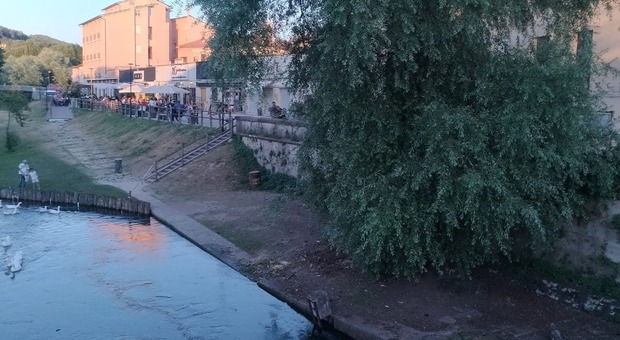 Rieti, attimi di paura al Ponte Romano per un grosso ramo caduto vicino ad alcune persone