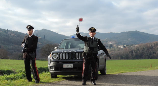 I carabinieri liberano Kyra, labrador legato ad un albero con una catena