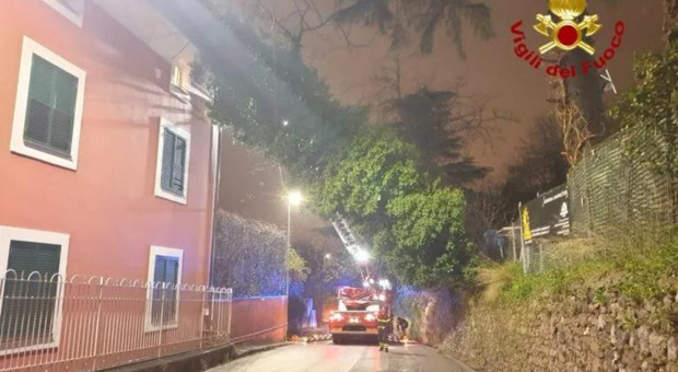 Maltempo nel Salernitano: albero si abbatte su una casa, due Comuni chiudono le scuole
